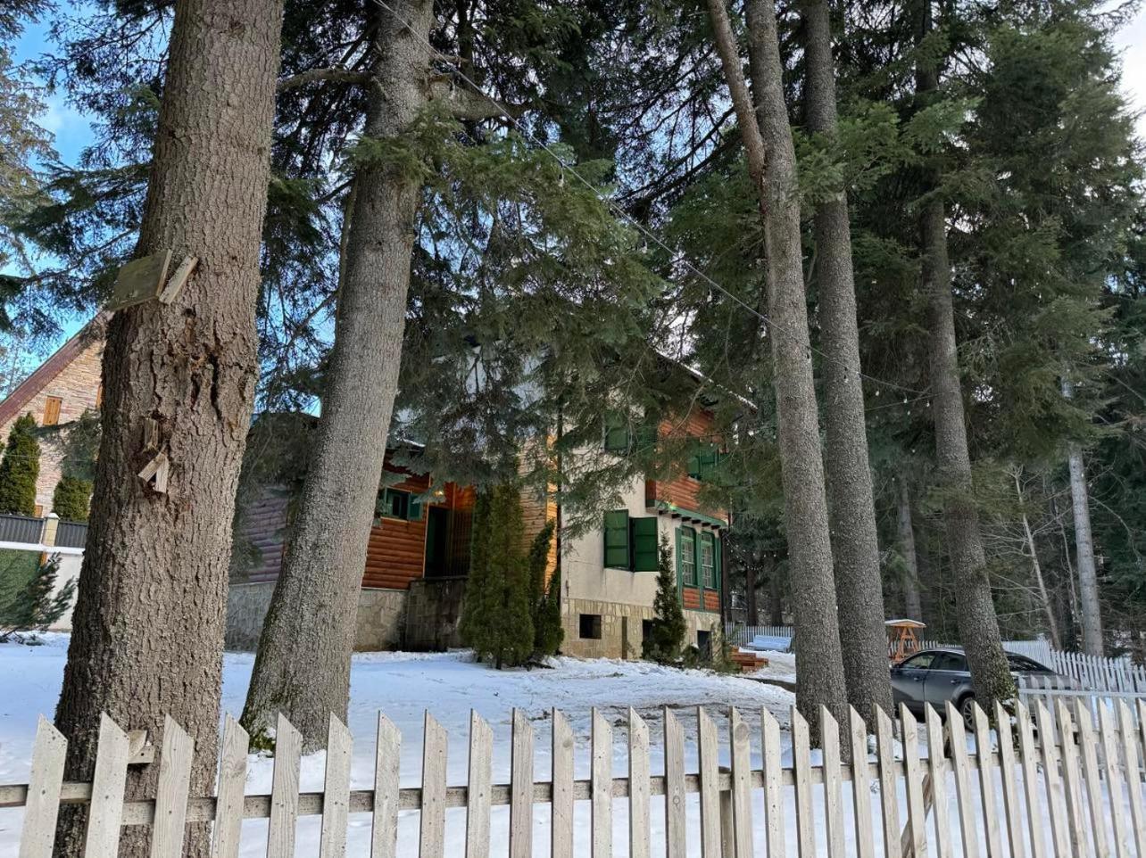 Villa Adis With Hot Pool & Jacuzzi By Bookvillabg Borovets Extérieur photo